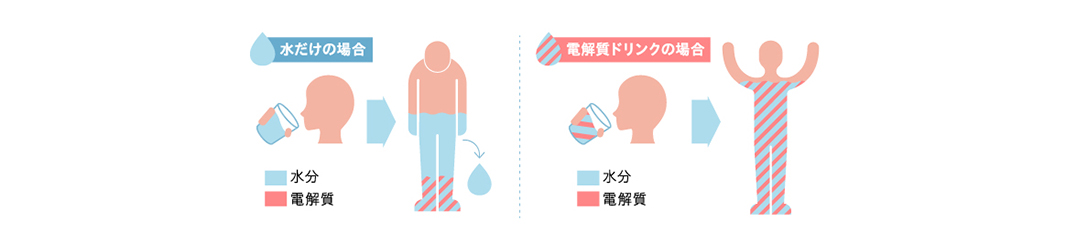 水だけ飲んだ場合と電解質ドリンクを飲んだ場合の比較図。電解質が含まれている方が水分が全身に届く
