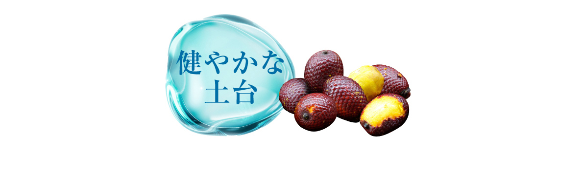 アグアヘ果実油