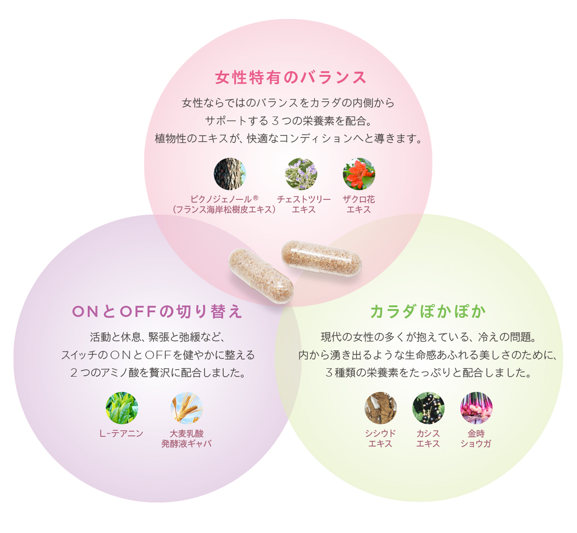 日本製 シンプリスウィメンズバランス30 サプリメント 女性ホルモン 30袋 女性 サプリ ストレス