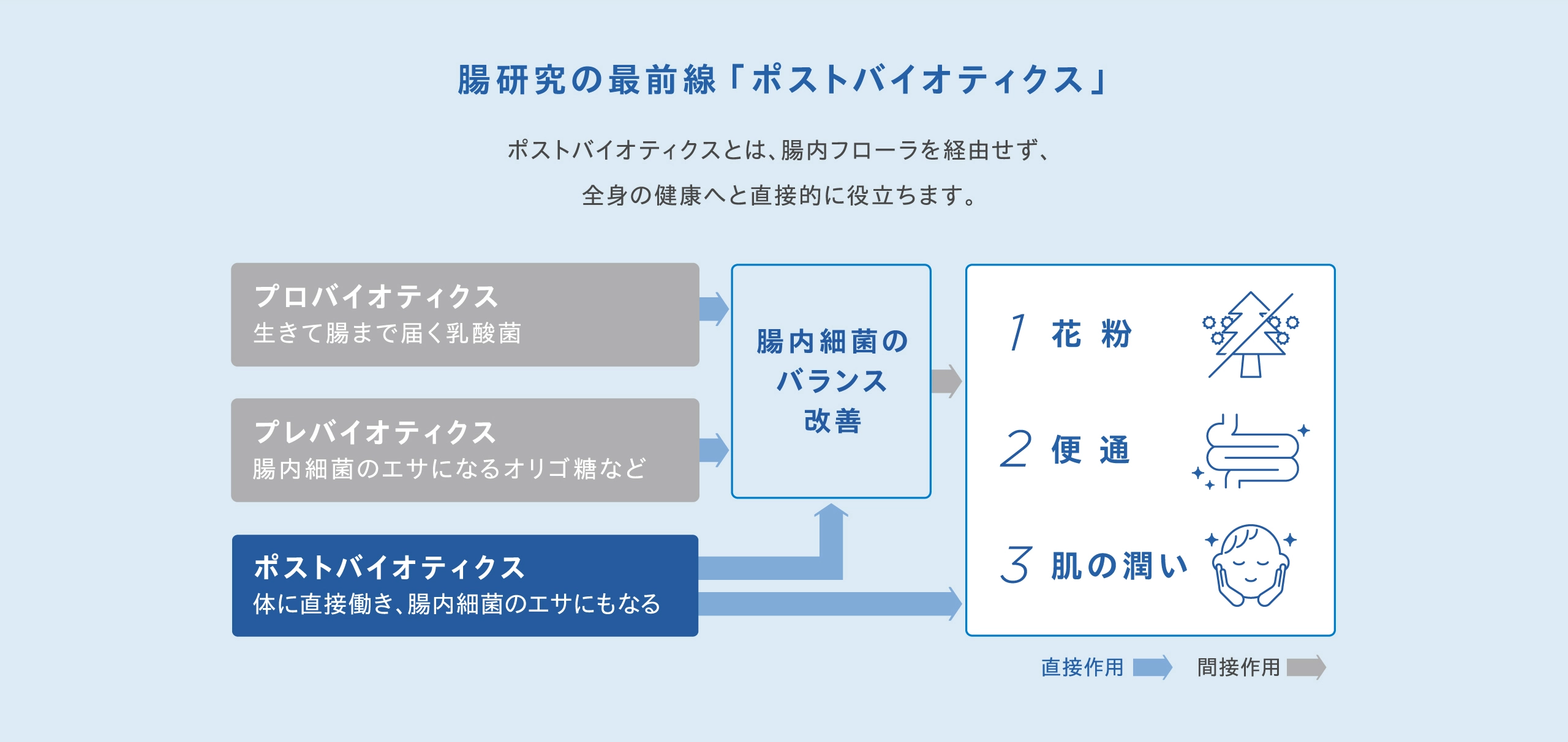 腸研究の最前線、ポストバイオティクスは腸内フローラを経由せず全身に直接作用する