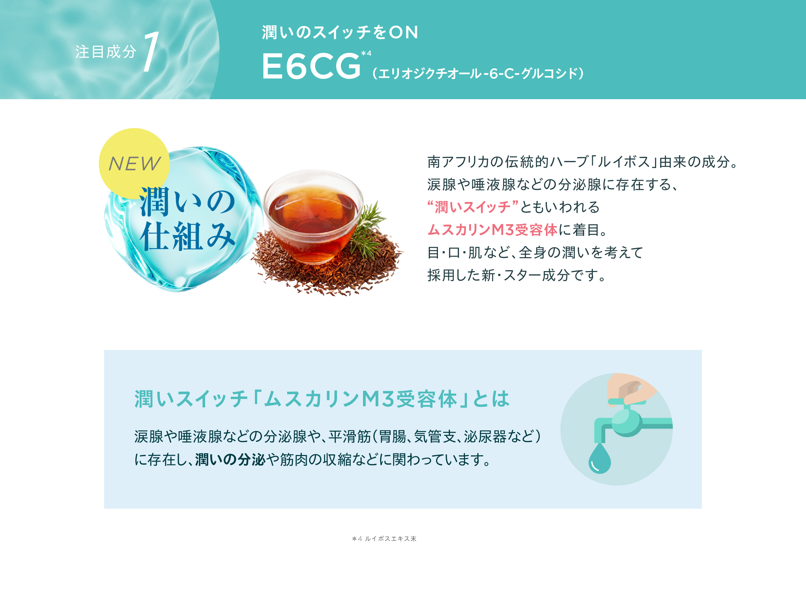 ルイボスエキス　E6CG