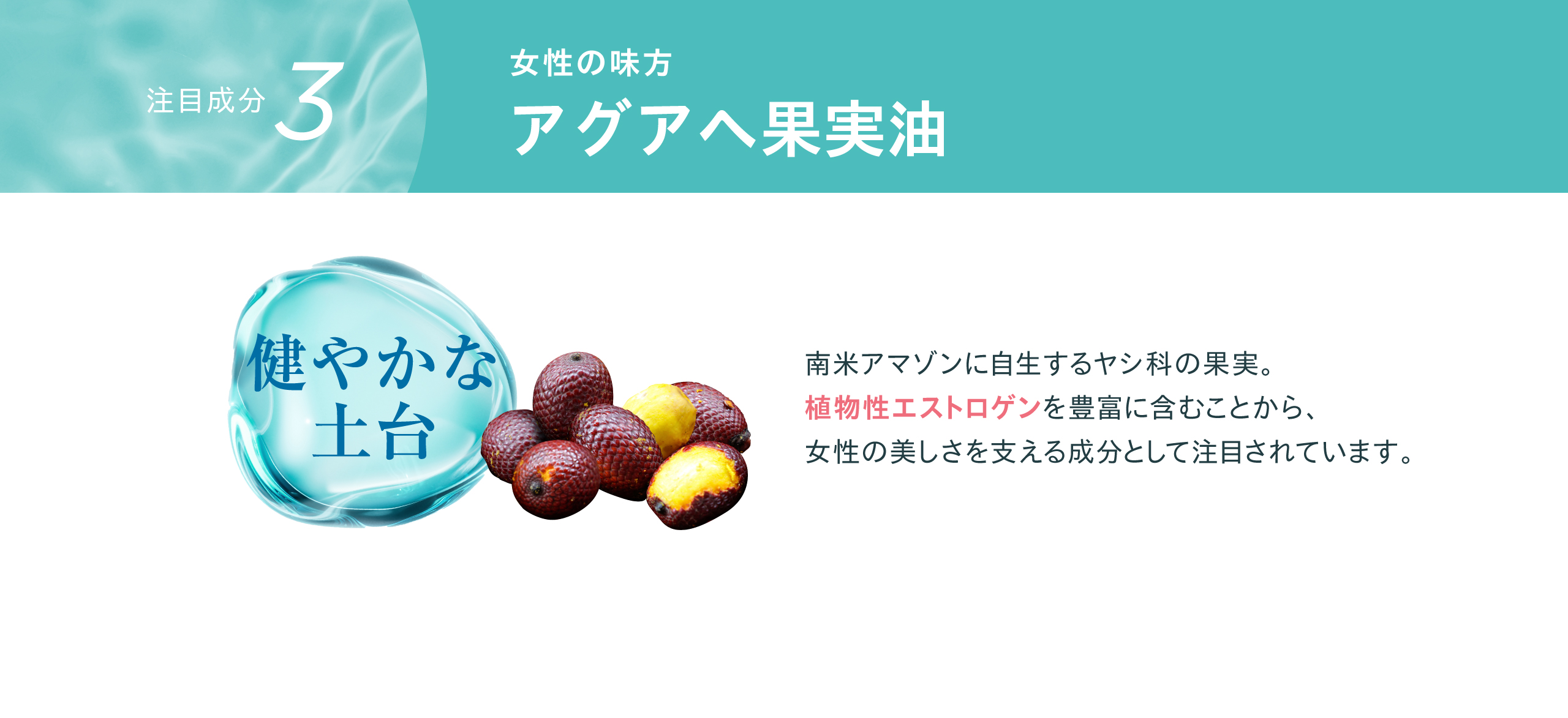 植物性エストロゲン　アグアヘエキス