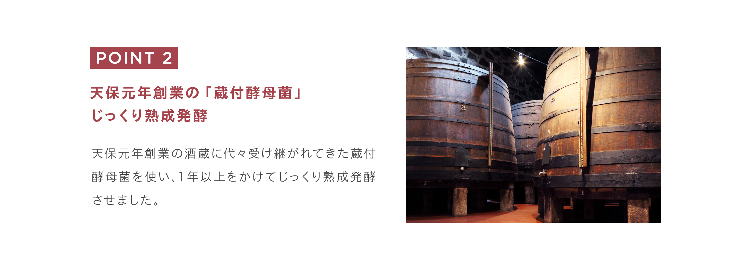 天保元年の蔵付酵母菌