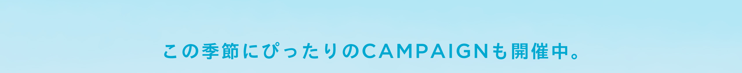この夏にぴったりのCAMPAIGNも開催中！